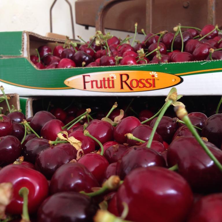 Agriturismo Fruttirossi Trofarello المظهر الخارجي الصورة